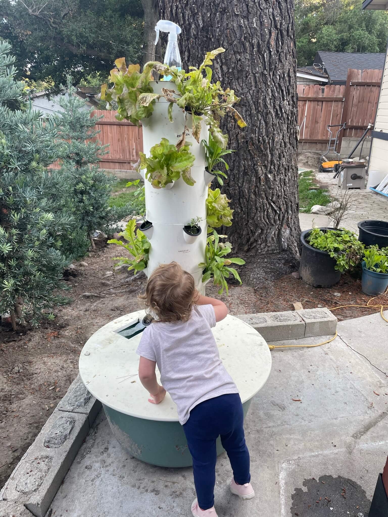 toddler helping in garden